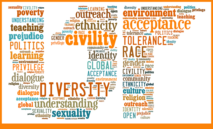 UT Diversity Definition Image