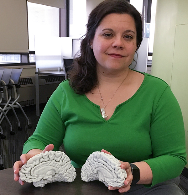 Dorothy Ogdon holding 3D models of a brain